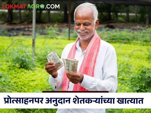 40 crores of 'incentive' was given to eligible farmers who availed crop loan twice in the same year | एकाच वर्षात दोन वेळा पीक कर्जाची उचल केलेल्या पात्र शेतकऱ्यांना मिळाले 'प्रोत्साहन'चे ४० कोटी