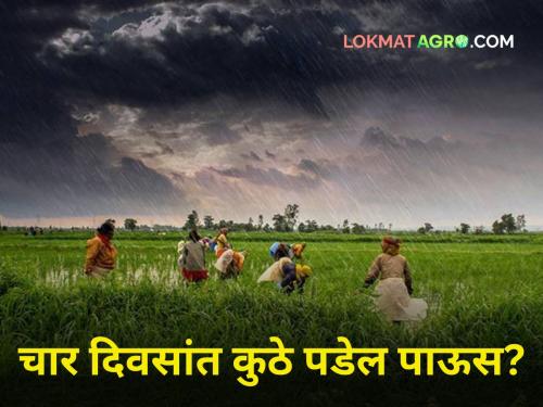 Maharashtra monsoonRain update next four days imd report farmer sowing cultivation crop insurance heavy rain | Maharashtra Rain : पुढील चार दिवसांत 'इथे' पडणार पाऊस! जाणून घ्या सविस्तर