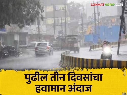 Latest News Maharashtra Rain Update How will the weather be in Maharashtra for next three days Know in detail  | Maharashtra Rain Update : महाराष्ट्रात पुढील तीन दिवस कसे राहील हवामान? जाणून घ्या सविस्तर 