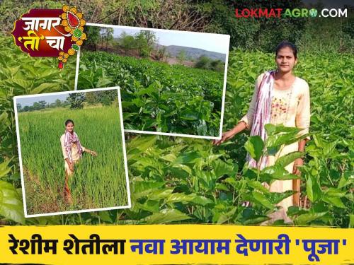 Latest News Navratri Special Women Farmer Story How did economy of Bhoye family of Nashik change from silk farming Read in detail  | Women Farmer Story : रेशीम शेतीतून नाशिकच्या भोये कुटुंबाचं अर्थकारण कसं बदललं? वाचा सविस्तर 