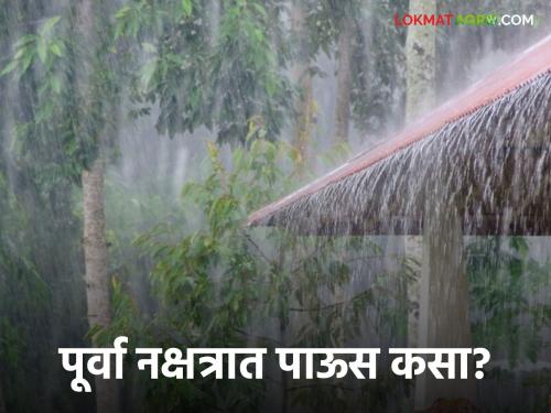 Latest News Maharashtra Rain Update how will rain be in Purva Nakshtra Read in detail  | Purva Nakshtra : मघा जोरदार बरसले, पूर्वा नक्षत्रात पाऊस कसा असेल? वाचा सविस्तर 