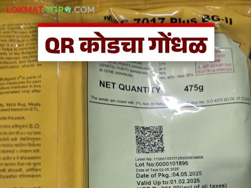 latest news Seed QR Code: What is the use of the 'QR code' on seed bags for farmers? Read in detail | Seed QR Code : शेतकऱ्यांना बियाणांच्या बॅगांवरील ‘क्यूआर कोड’चा उपयोग काय? वाचा सविस्तर