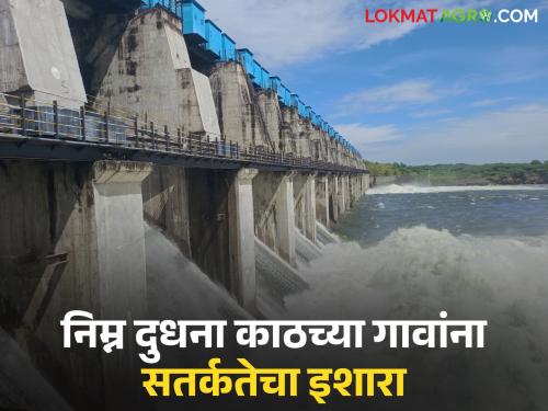 As the level is rising, the monsoon may start at any moment; Alert issued to villages along the lower Dudhana river | पातळी वाढत असल्याने कोणत्याहीक्षणी सुरू होऊ शकतो वीसर्ग; निम्न दुधना काठच्या गावांना सतर्कतेचा इशारा