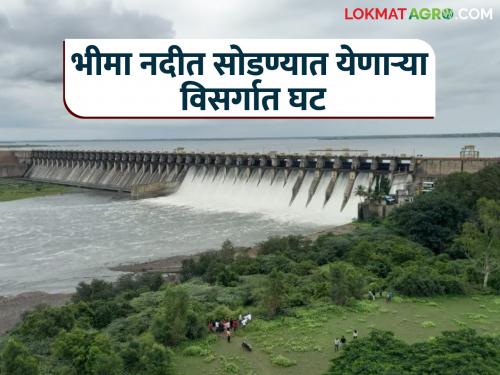 Decrease in discharge from Daund into Ujni and from Ujni into Bhima river | दौंड येथून उजनीत तर उजनीतून भीमा नदीत सोडण्यात येणाऱ्या विसर्गात घट