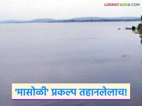 'These' 6 small irrigation ponds including the 'Masoli' project in Marathwada are also thirsty; Waiting for heavy rains | मराठवाड्यातील 'मासोळी' प्रकल्पासह 'हे' ६ लघु सिंचन तलाव अध्यापही तहानलेलेच; दमदार पावसाची प्रतीक्षा