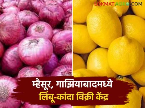 Decision of Srigonda Bazaar Committee; Onion and lemon farmers in Mysore, Ghaziabad will benefit | श्रीगोंदा बाजार समितीचा निर्णय; म्हैसूर, गाझियाबादमधील कांदा आणि लिंबू उत्पादक शेतकऱ्यांना होणार फायदा