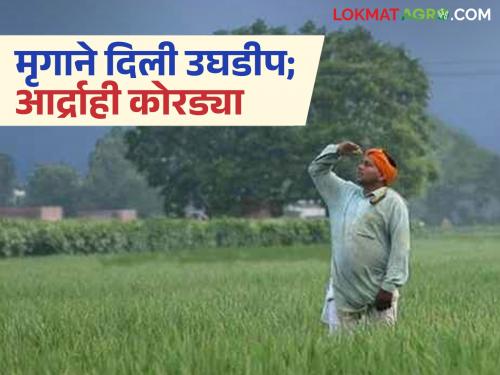 Marathwada's 'Ya' district has a total rainfall deficit of 188 mm; Farmers are worried about the problem of double sowing | मराठवाड्याच्या 'या' जिल्ह्यात अध्याप १८८ मिमी पावसाची तूट; दुबार पेरणीचे संकटाने शेतकरी चिंताग्रस्त