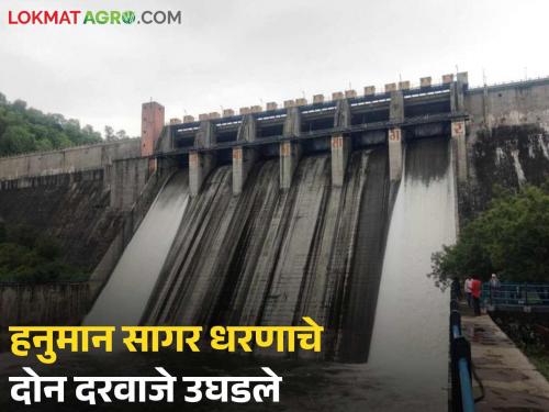Hanuman Sagar Dam gates opened; Alert issued to villages along the river | हनुमान सागर धरणाचे दरवाजे उघडले; नदीकाठच्या गावांना सतर्कतेचा इशारा