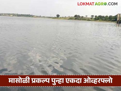 4 projects including Masoli Medium Project in Parbhani district overflow; All gates of Muli Dam also opened | परभणी जिल्ह्यातील मासोळी मध्यम प्रकल्पासह ४ प्रकल्प ओव्हर फ्लो; मुळी बंधाऱ्याचे देखील सर्व दरवाजे उघडले