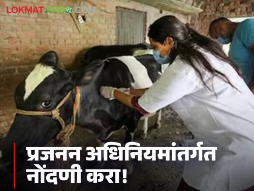 Veterinary institutions should register under the Breeding Act; Animal Husbandry Deputy Commissioner appeals | पशुवैद्यकसह संस्थांनी प्रजनन अधिनियमांतर्गत नोंदणी करा; पशुसंवर्धन उपायुक्तांचे आवाहन