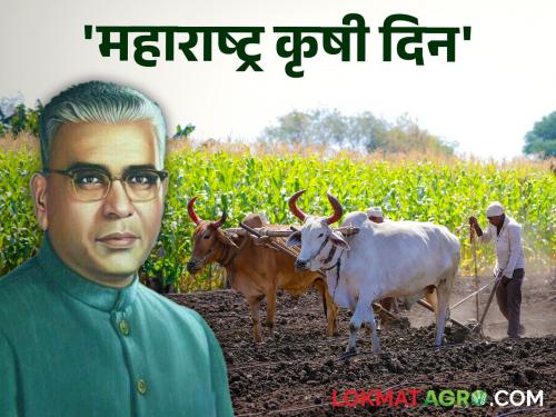 'Maharashtra Agriculture Day' is being celebrated across the state today on the birth anniversary of 'this' Chief Minister, the pioneer of the Green Revolution. | हरित क्रांतीचे प्रणेते असलेल्या 'या' मुख्यमंत्र्यांच्या जयंतीनिमित्त आज राज्यभर साजरा होतो 'महाराष्ट्र कृषी दिन'
