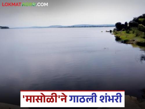 Gangakhed's Masoli Medium Project reaches 100 years; Ranisavargaon Lake on the verge of filling | गंगाखेडच्या मासोळी मध्यम प्रकल्पाने गाठली शंभरी; राणीसावरगाव तलाव भरण्याच्या उंबरठ्यावर