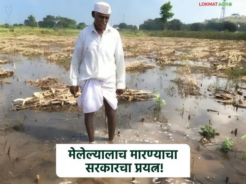 Government's attempt to kill the dead even more! Farmers' organizations strongly oppose recovery of Rs 336 crore from farmers | मेलेल्यालाच आणखी मारण्याचा सरकारचा प्रयत्न! शेतकऱ्यांकडून ३३६ कोटी वसुलीस शेतकरी संघटनांचा कडाडून विरोध