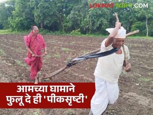 Muktabai's companionship, Vithu's grace; Let Panduranga, the 'crop', bloom with our sweat | मुक्ताबाईची सोबत, विठूची कृपादृष्टी; आमच्या घामाने फुलू दे रे पांडुरंगा ही 'पीकसृष्टी'
