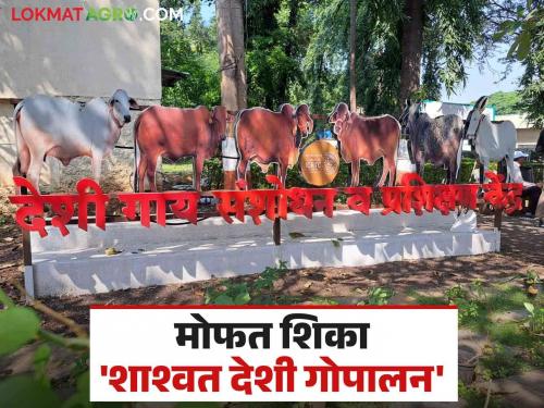 A three-month training program will be started on Sustainable Indigenous Cow Husbandry; Apply 'here' | शाश्वत देशी गोपालन या विषयावर तीन महिन्यांचा प्रशिक्षण कार्यक्रम होणार सुरू; 'येथे' करा अर्ज