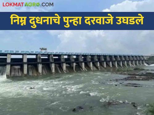 As there was no order to store 100 percent water in the dam, two gates of lower milk were opened again | धरणात १०० टक्के पाणी साठवण्याचे आदेश नसल्याने निम्न दुधनाचे पुन्हा दोन दरवाजे उघडले