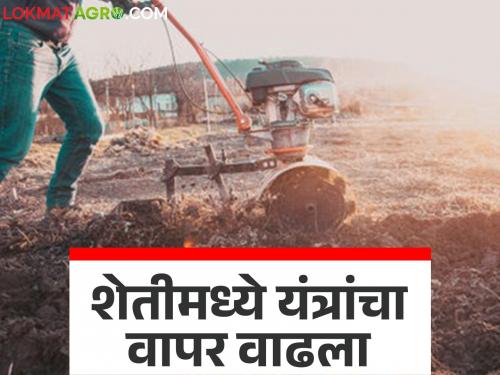 Traditional farming is unaffordable; farmers are trying new tricks in the fields | पारंपरिक शेती परवडेना; शेतकरी करीत आहेत शेतात नवनवे जुगाड