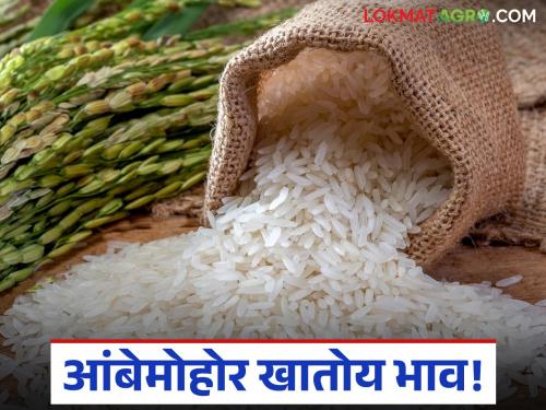 Prices are rising; Prices of fragrant rice have increased significantly due to increased demand | आंबेमोहोर खातोय भाव; मागणी वाढल्याने सुगंधी तांदळाच्या दरात लक्षणीय वाढ