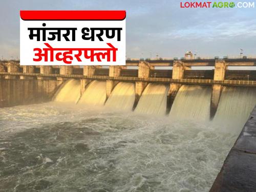 Manjara Dam overflows; Discharge water reaches Karnataka state through Hosur barrages after a 90-kilometer journey | मांजरा धरण ओव्हरफ्लो; ९० किलोमीटर लांबीच्या प्रवासातून होसूर बॅरेजेसमधून कर्नाटक राज्यात पोहोचले विसर्गाचे पाणी