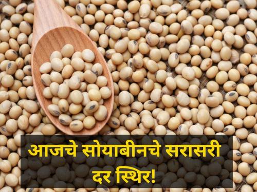 Soybean prices rate today stable market yard maharashtra onion rate agriculture | Soyabean Rate : सोयाबीनला आज मिळाला 2810 रूपयांचा निचांकी भाव; सरासरी दर स्थिर!