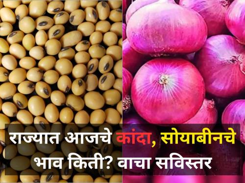 maharashtra state price of onion and soybeans market yard agriculture | राज्यात आजचे कांदा, सोयाबीनचे भाव किती? वाचा सविस्तर