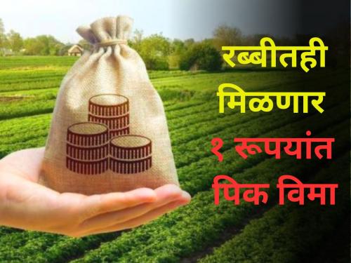 Farmers will get crop insurance for 1 rupee even rabbi season agriculture | Crop Insurance : रब्बी हंगामातही शेतकऱ्यांना मिळणार १ रूपयांत पीक विमा!