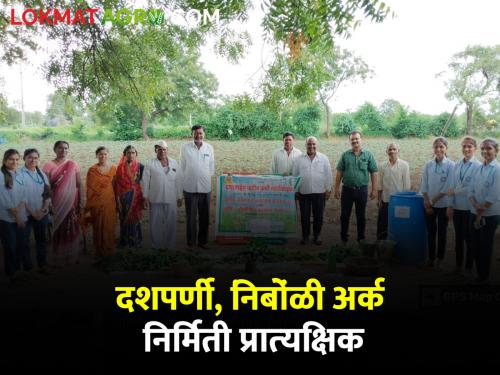 Organization of Dashaparni and Nimboli extract making demonstration by Farming girls | कृषिकन्यांकडून दशपर्णी व निंबोळी अर्कनिर्मिती प्रात्यक्षिकाचे आयोजन