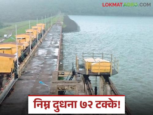 Water storage in the Nimna Dudhana Project this year is four times higher than last year; Discharge from the canal will be done on 'this' date | निम्न दुधना प्रकल्पात यंदा मागील वर्षीच्या तुलनेत चारपट पाणीसाठा; 'या' तारखेला होणार कालव्यातून विसर्ग