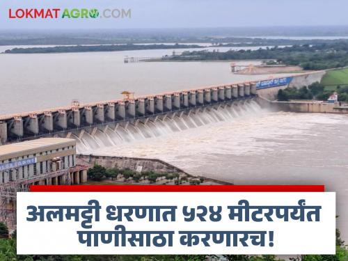 There is no danger after increasing the height of Almatti, Maharashtra leaders are making allegations only for their own selfish interests - Sangamesh Nirani | अलमट्टीची उंची वाढवल्यानंतर कोणताही धोका नाही केवळ आपल्या स्वार्थासाठी महाराष्ट्रातील नेते करताहेत आरोप - संगमेश निराणी