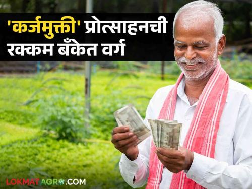 50,000 each deposited in farmers' accounts; 'Debt Waiver' Incentive Amount Class in Bank | शेतकऱ्यांच्या खात्यात जमा झाले प्रत्येकी ५० हजार; 'कर्जमुक्ती' प्रोत्साहनची रक्कम बँकेत वर्ग