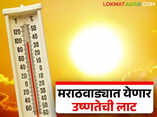 Earth's temperature increased by 1.57 degrees Celsius; humid and hot weather in the next four days | पृथ्वीचे तापमान १.५७ अंश सेल्सिअसने वाढले; पुढील चार दिवसांत दमट व उष्ण वातावरण