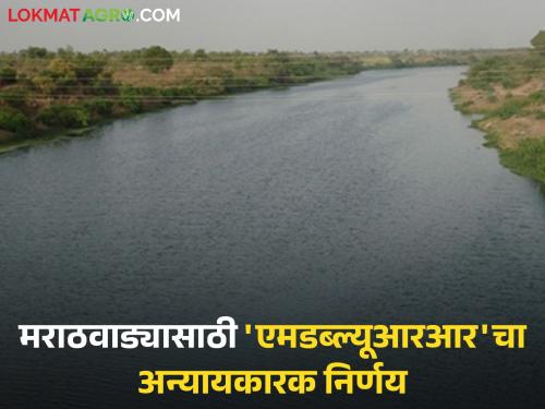 Two petitions seeking rightful water rejected; MWRR's unjust decision for Marathwada | हक्काचे पाणी मागणाऱ्या दोन याचिका फेटाळल्या; मराठवाड्यासाठी एमडब्ल्यूआरआरचा अन्यायकारक निर्णय