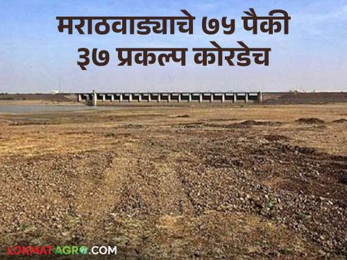 Marathwada Water Update : One and a half months of rain left; Only 33 percent water is stored in the dams of Marathwada | Marathwada Water Update : पावसाचे दीड महिने उरले; मराठवाड्यातील धरणांत केवळ ३३ टक्के पाणी जमा