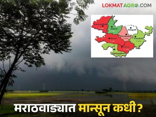 When will the monsoon picture in Marathwada become clear? Read what weather experts are saying | मराठवाड्याच्या मान्सूनचे चित्र कधी होणार स्पष्ट? वाचा काय सांगताहेत हवामान तज्ञ