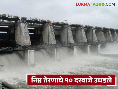 Discharge from Lower Terna Project increased; Alert issued to villages along Terna river | निम्न तेरणा प्रकल्पातून विसर्ग वाढला; तेरणा नदीकाठच्या गावांना सतर्कतेचा इशारा