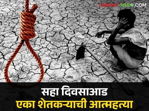 Farmer Suicide In Maharashtra A farmer commits suicide every six days; 117 farmers died in 18 months | Farmer Suicide In Maharashtra सहा दिवसा आड एका शेतकऱ्याची आत्महत्या; १८ महिन्यांत ११७ शेतकऱ्यांनी मृत्यूला कवटाळले