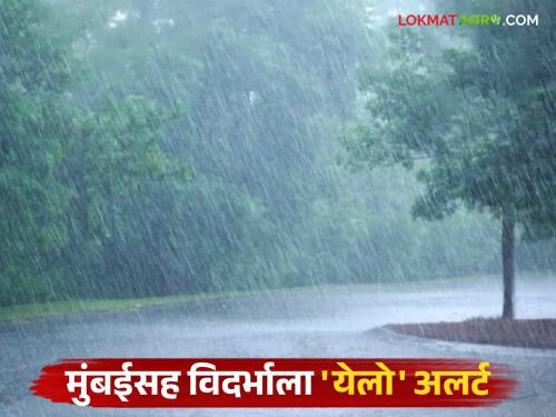 What alert is there for your district? Know today's weather forecast in the state | तुमच्या जिल्ह्याला कोणता अलर्ट? जाणून घ्या आजचे राज्यातील हवामान अंदाज