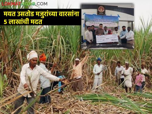 Oppressive conditions help to heirs dead laborers 5 lakhs check distribution of sugarcane worker | मयत उसतोड मजुरांच्या वारसांना मदतीसाठी जाचक अटी! ५ लाखांचे धनादेश वाटप