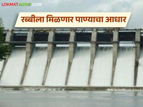 latest news Dam Water Level Maharashtra: Small projects damaged by September rains; Rabi season will gain momentum Read in detail | Dam Water Level Maharashtra : सप्टेंबरच्या पावसाने लघु प्रकल्प तुडुंब; रब्बी हंगामाला येणार गती वाचा सविस्तर