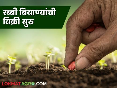 Latest News Rabbi Biyane Sale of Rabi season seeds, gram, sorghum, sorghum varieties available  | Rabbi Biyane : रब्बी हंगामातील बियाण्यांची विक्री, हरभरा, ज्वारी, करडईचे 'हे' वाण उपलब्ध 