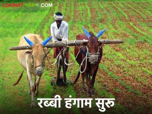 Rabi season : Confusion among farmers coming under Lower dudhana Project; | Rabi season : लोअर दुधना प्रकल्पांतर्गत येणाऱ्या शेतकऱ्यांमध्ये संभ्रमावस्था; पाणी आवर्तन कधी जाहीर करणार?