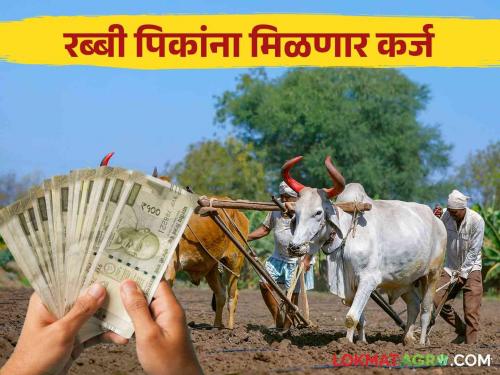 Rabi Crop Loan : Commencement of crop loan distribution during Rabi season Allotment of loan to bank | Rabi Crop Loan : रब्बी हंगामात पीक कर्ज वाटपाला प्रारंभ; बँकेला कर्ज वाटपाचे 'टार्गेट'!