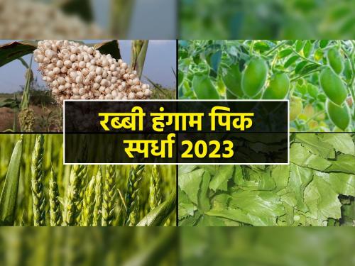 Participate in Rabi Season Pick Contest, Win Attractive Prizes | रब्बी हंगाम पिक स्पर्धेत सहभागी व्हा, जिंका आकर्षक बक्षिसे