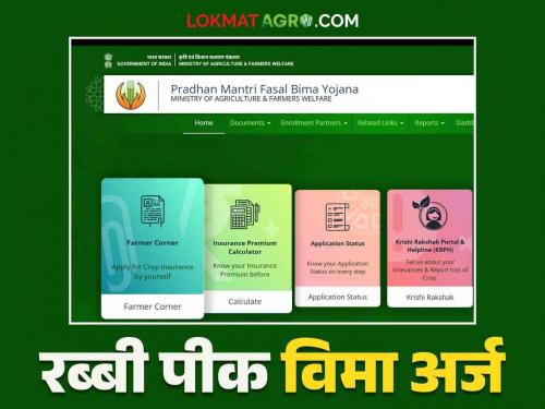 Latest News Rabbi Crop Insurance Application Form How to fill Rabbi Pik Vima Form Online 2024 Maharashtra | Rabbi Crop Insurance Application Form : रब्बी पिक विमा अर्ज कसा करायचा? जाणून घ्या सोप्या शब्दांत