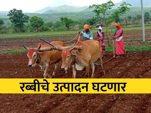 Rabi sowing on only 28 percent area in the state | राज्यात फक्त २८ टक्के क्षेत्रावर रब्बी पेरणी