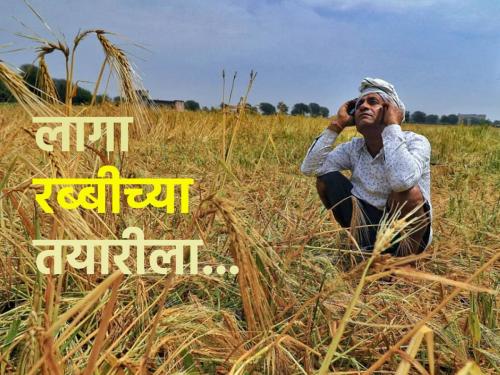 Less chance of rain; Sow rabi crops on available soil moisture | पावसाची शक्यता कमीच; उपलब्ध जमिनीतील ओलाव्यावर करा रब्बी पीकांची पेरणी