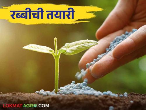 Rabi Season : Rabi preparation started by Agriculture Department; This year the area will increase by 'so many' hectares | Rabi Season : कृषी विभागाकडून रब्बीची तयारी सुरू; यंदा 'इतके' हेक्टर वाढणार क्षेत्र