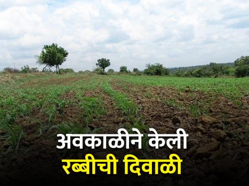 Rabi crops will get life due to rain | पावसामुळे रब्बी पिकांना मिळणार जीवदान