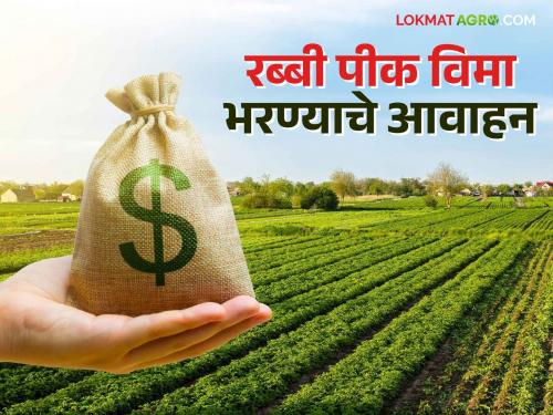 Rabbi Crop Insurance: Crop insurance can be paid till December 15 for wheat, onion, gram crops | Rabbi Crop Insurance : गहू, कांदा, हरभरा पिकासाठी १५ डिसेंबरपर्यंत भरता येणार पीकविमा