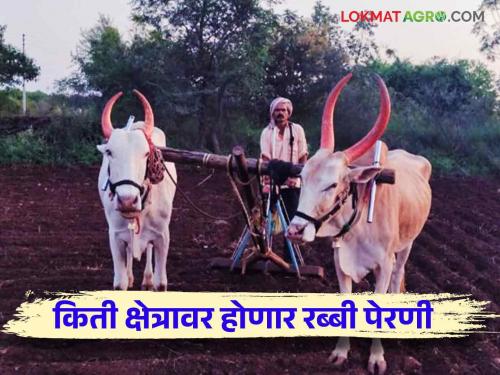 Rabi Perani : The first estimate of the Agriculture Department is that rabi will be sown on 60 lakh hectares in the state | Rabi Perani : राज्यात ६० लाख हेक्टरवर होणार रब्बीची पेरणी कृषी विभागाचा पहिला अंदाज